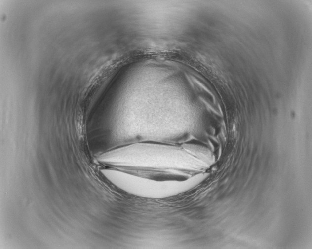 X0000087031348200705141912