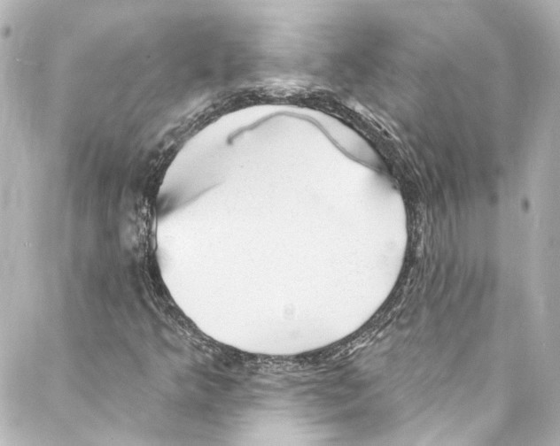 X0000087031349200705141912