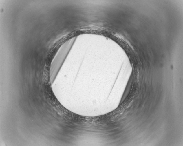 X0000087031350200705141912