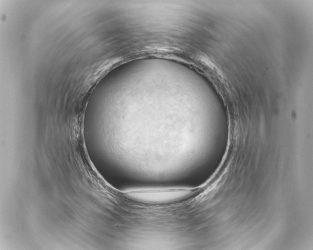 X0000087031353200705141912