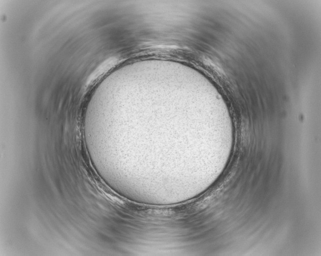 X0000087031354200705141912