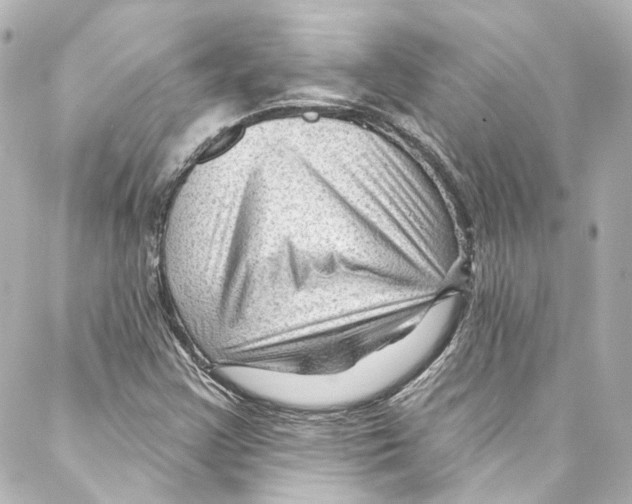 X0000087031355200705141911