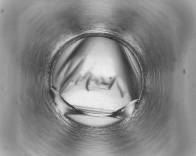 X0000087031356200705141911