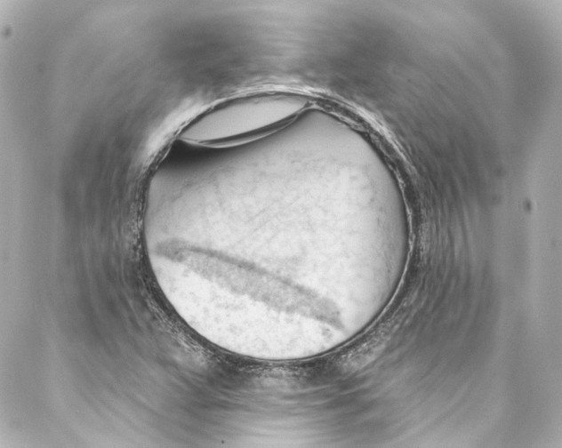 X0000087031359200705141911