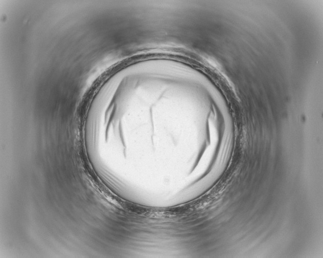 X0000087031360200705141911