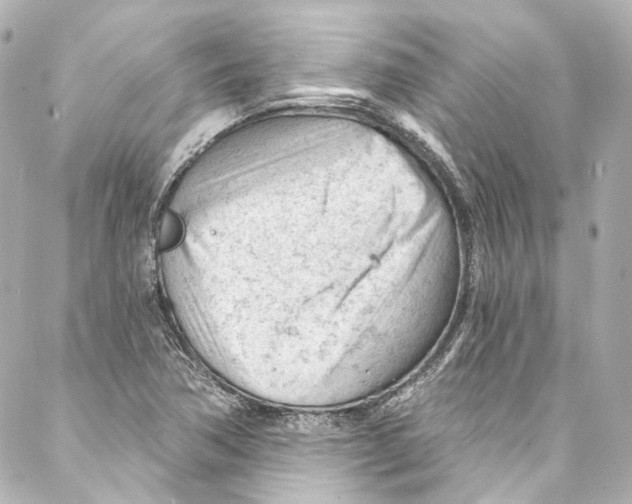 X0000087031362200705141911