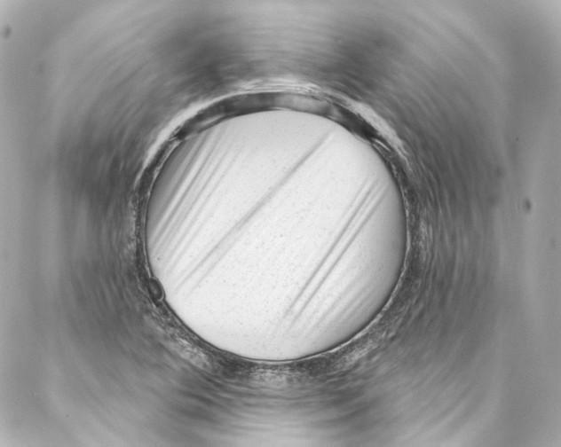 X0000087031364200705141911