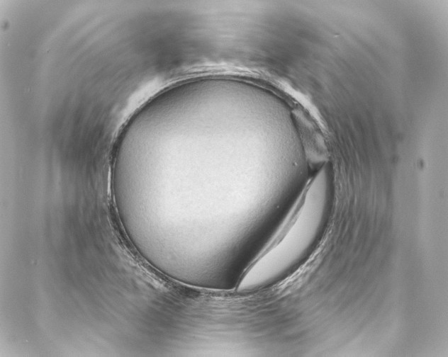 X0000087031365200705141911