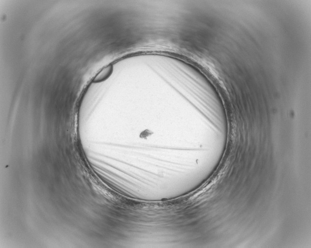 X0000087031366200705141911