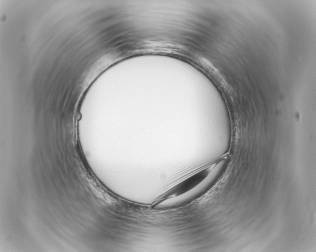 X0000087031370200705141911