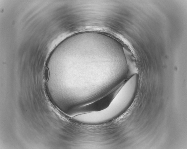 X0000087031373200705141911