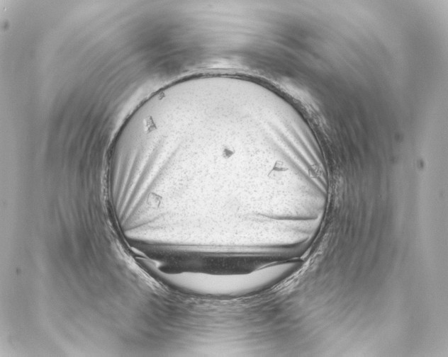 X0000087031374200705141911