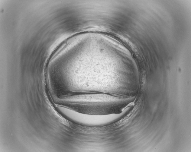 X0000087031375200705141911