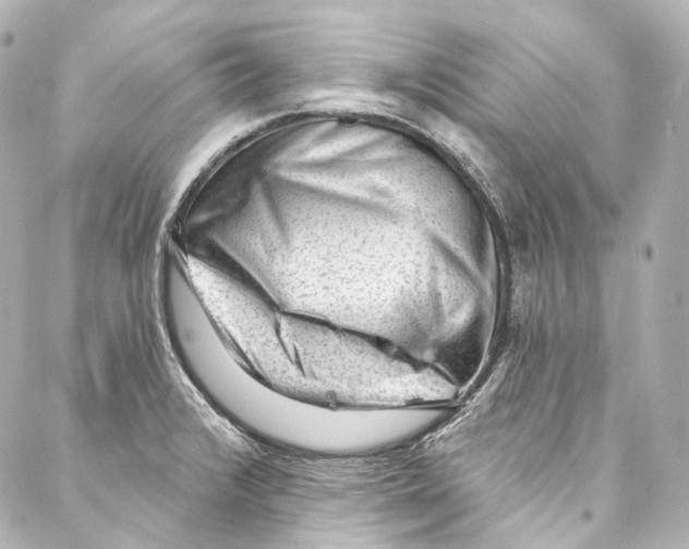 X0000087031376200705141911