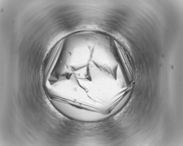 X0000087031382200705141911