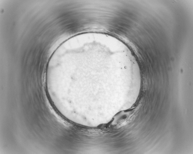 X0000087031383200705141911