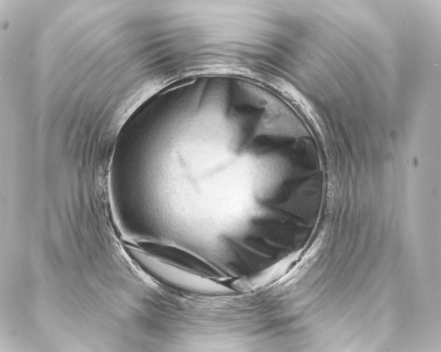 X0000087031385200705141911