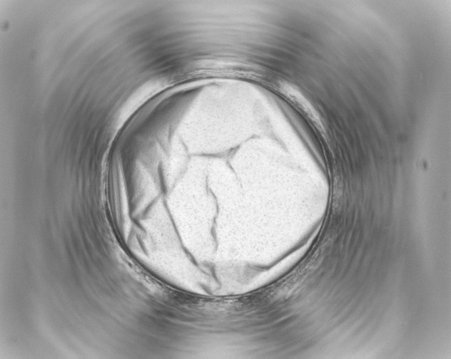 X0000087031386200705141911