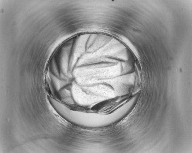 X0000087031388200705141911