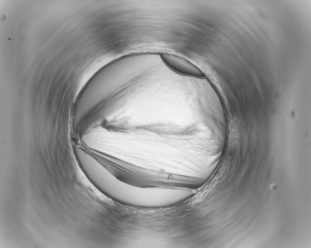 X0000087031390200705141911