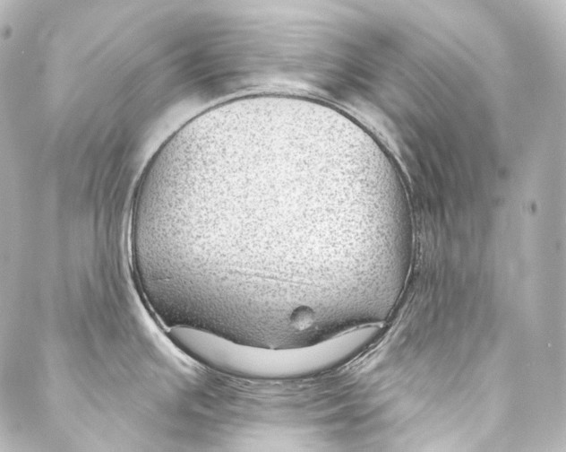 X0000087031391200705141911