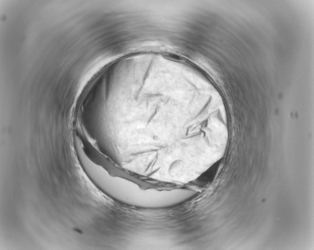 X0000087031392200705141911