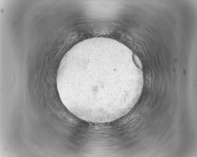 X0000087031393200705141910