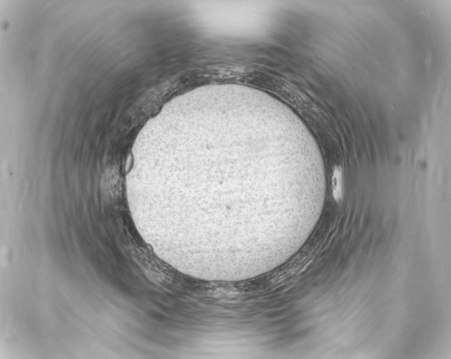 X0000087031395200705141910