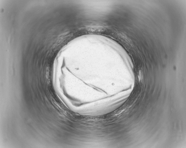 X0000087031396200705141910