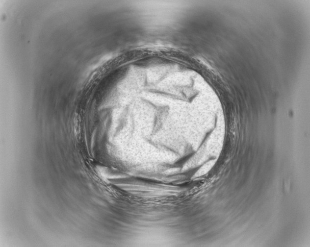 X0000087031398200705141910