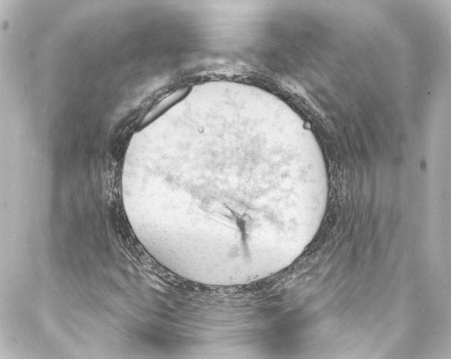 X0000087031399200705141910