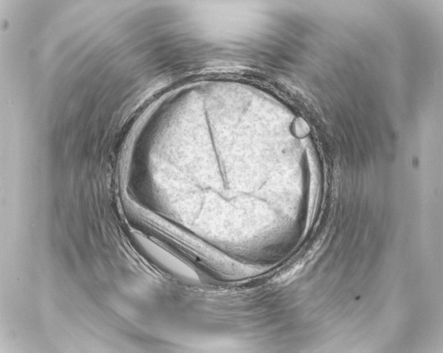 X0000087031401200705141910