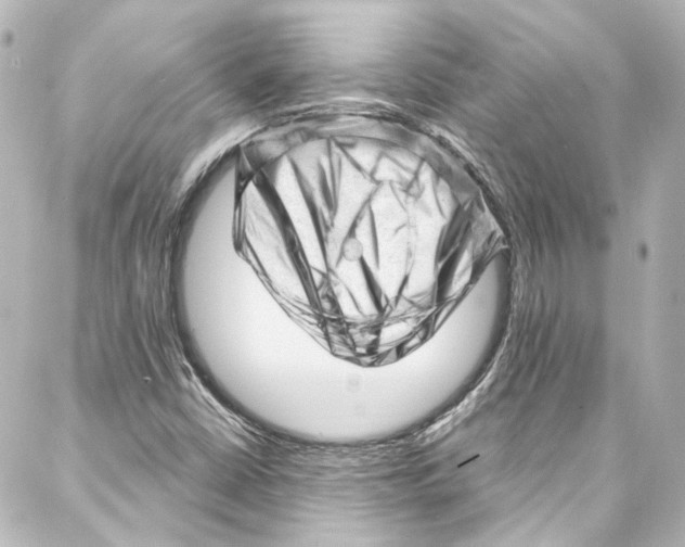 X0000087031402200705141910