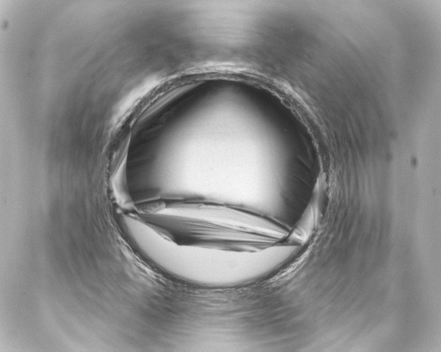 X0000087031406200705141910