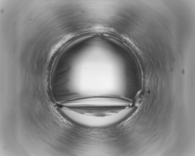 X0000087031410200705141910