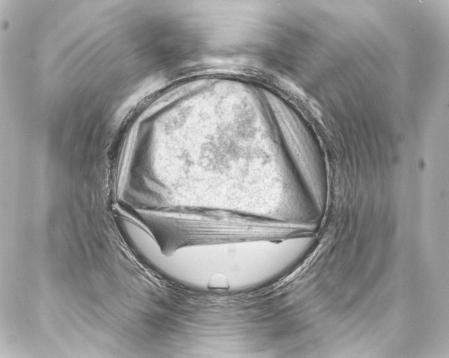 X0000087031411200705141910