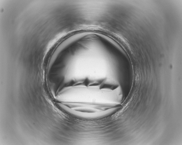 X0000087031414200705141910