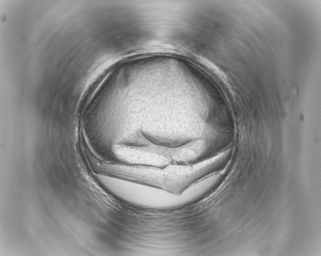 X0000087031415200705141910