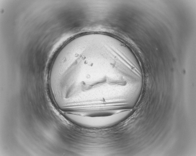 X0000087031416200705141910