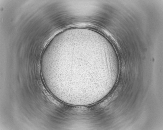 X0000087031417200705141910