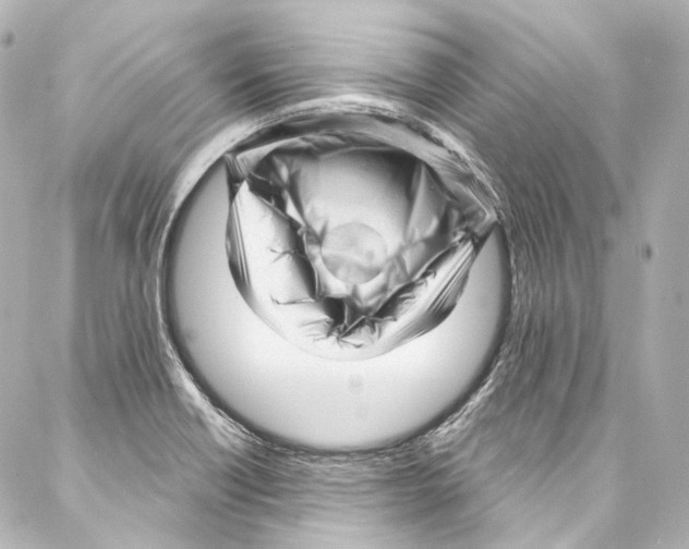 X0000087031418200705141911