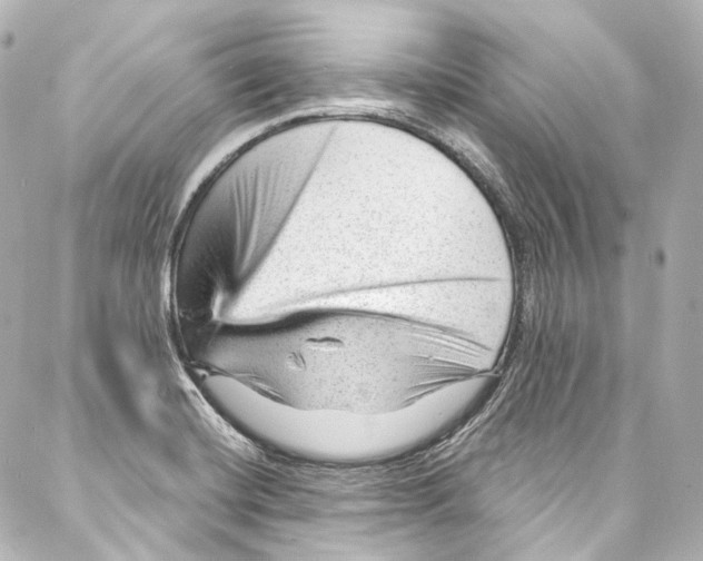 X0000087031420200705141911