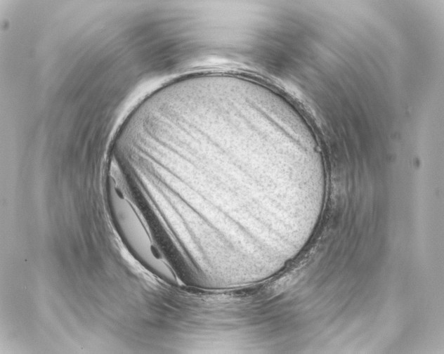 X0000087031421200705141911