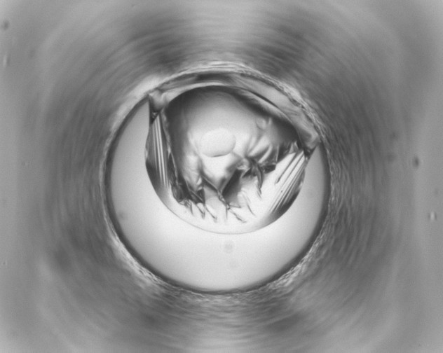 X0000087031422200705141911