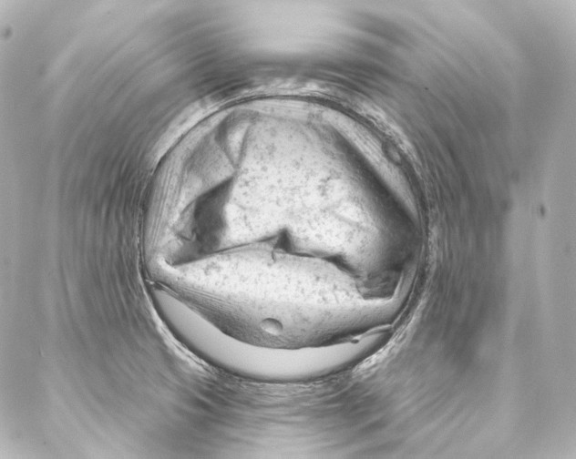 X0000087031425200705141911