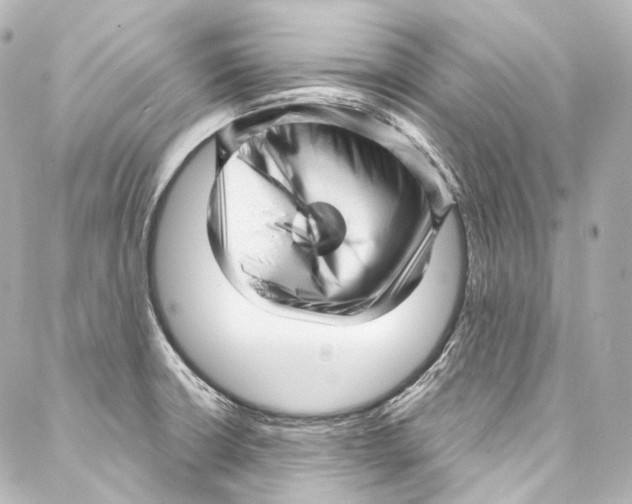 X0000087031426200705141911