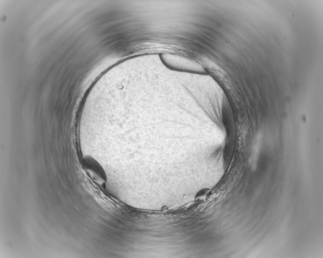 X0000087031427200705141911