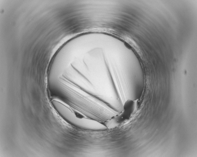 X0000087031428200705141911