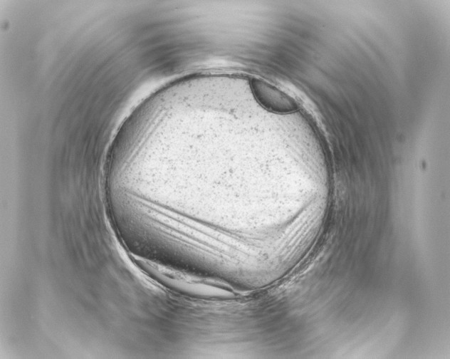 X0000087031429200705141911