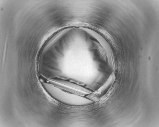 X0000087031430200705141911